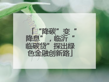 “降碳”变“降息”，临沂“临碳贷”探出绿色金融创新路