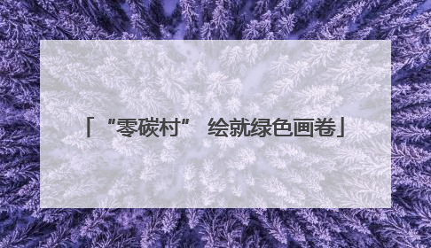 “零碳村” 绘就绿色画卷