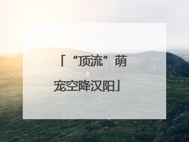 “顶流”萌宠空降汉阳