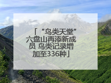 “鸟类天堂”六盘山再添新成员 鸟类记录增加至336种