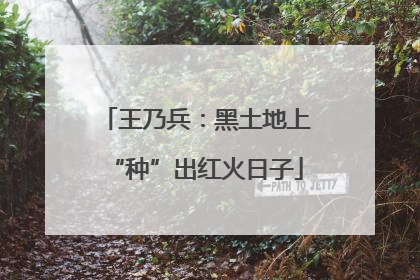 王乃兵：黑土地上“种”出红火日子