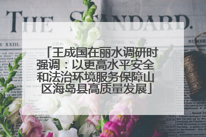 王成国在丽水调研时强调：以更高水平安全和法治环境服务保障山区海岛县高质量发展