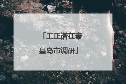 王正谱在秦皇岛市调研