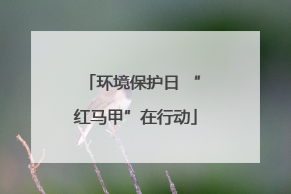环境保护日 “红马甲”在行动