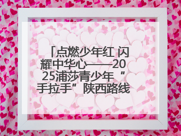点燃少年红 闪耀中华心——2025浦莎青少年“手拉手”陕西路线丝路续新章
