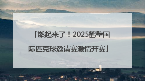 燃起来了！2025鹤壁国际匹克球邀请赛激情开赛