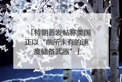 特朗普发帖称美国正以“前所未有的速度储备武器”