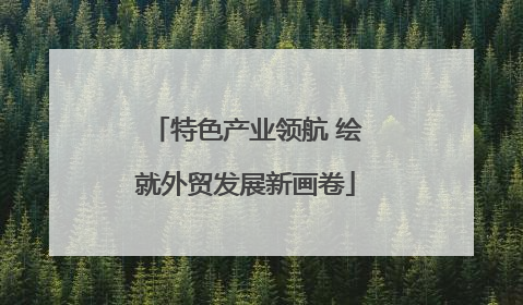 特色产业领航 绘就外贸发展新画卷
