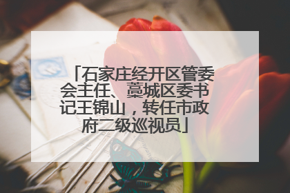 石家庄经开区管委会主任、藁城区委书记王锦山，转任市政府二级巡视员