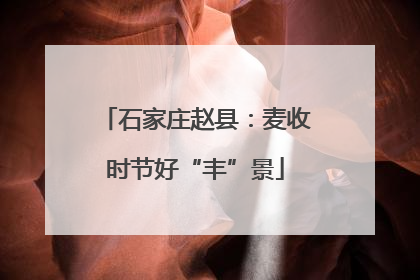 石家庄赵县：麦收时节好“丰”景
