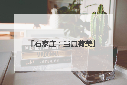 石家庄：当夏荷美