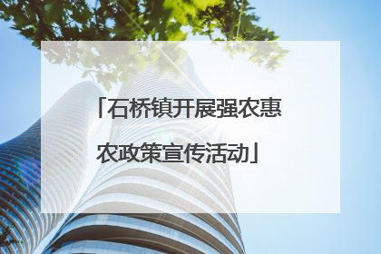 石桥镇开展强农惠农政策宣传活动