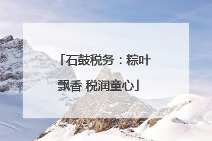 石鼓税务：粽叶飘香 税润童心