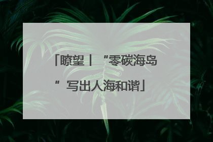 瞭望丨“零碳海岛”写出人海和谐