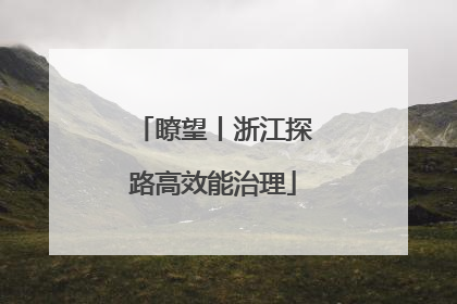 瞭望丨浙江探路高效能治理