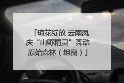 琼花绽放 云南凤庆“山野精灵”舞动原始森林（组图）