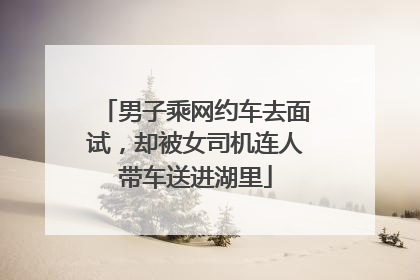 男子乘网约车去面试，却被女司机连人带车送进湖里