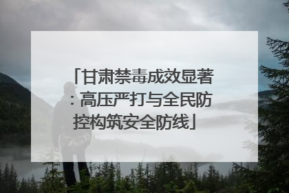 甘肃禁毒成效显著：高压严打与全民防控构筑安全防线