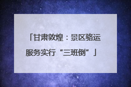甘肃敦煌：景区骆运服务实行“三班倒”