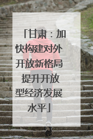 甘肃：加快构建对外开放新格局 提升开放型经济发展水平