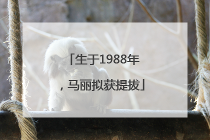 生于1988年，马丽拟获提拔