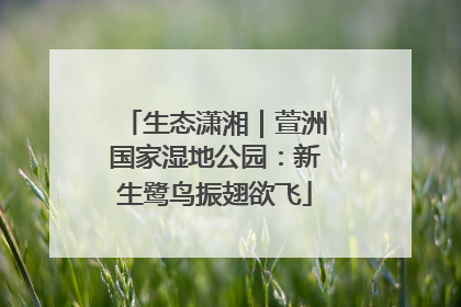生态潇湘｜萱洲国家湿地公园：新生鹭鸟振翅欲飞