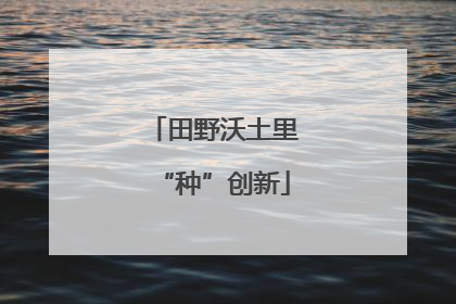 田野沃土里“种”创新
