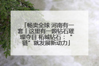 畅卖全球 河南有一套丨这里有一颗钻石璀璨夺目 柘城钻石：“链”就发展新动力