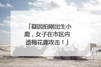 疑因拍刚出生小鹿，女子在市区内遭梅花鹿攻击！