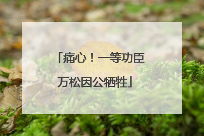 痛心！一等功臣万松因公牺牲