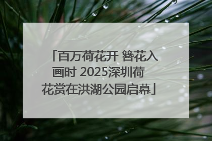 百万荷花开 簪花入画时 2025深圳荷花赏在洪湖公园启幕