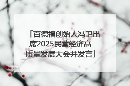 百德福创始人冯卫出席2025民营经济高质量发展大会并发言
