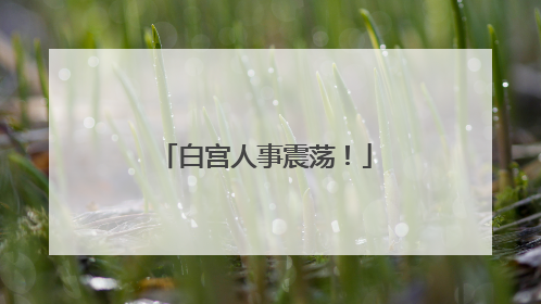 白宫人事震荡！