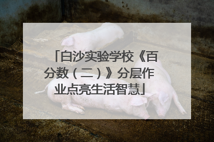 白沙实验学校《百分数（二）》分层作业点亮生活智慧