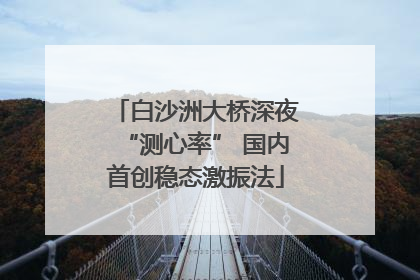 白沙洲大桥深夜“测心率” 国内首创稳态激振法