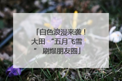 白色浪漫来袭！大田 “五月飞雪” 刷爆朋友圈