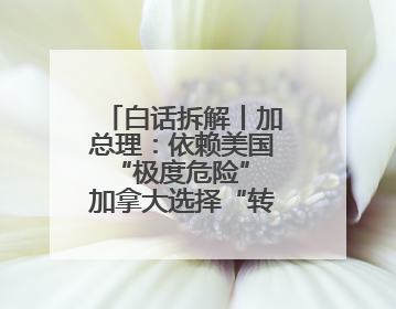 白话拆解丨加总理：依赖美国“极度危险” 加拿大选择“转向欧亚”