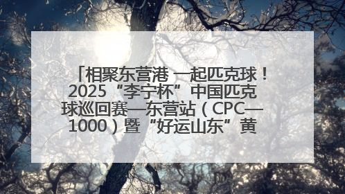 相聚东营港 一起匹克球！2025“李宁杯”中国匹克球巡回赛—东营站（CPC—1000）暨“好运山东”黄河口匹克球公开赛落幕