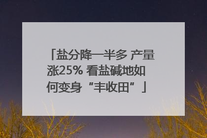 盐分降一半多 产量涨25% 看盐碱地如何变身“丰收田”