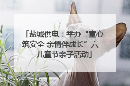 盐城供电：举办“童心筑安全 亲情伴成长”六一儿童节亲子活动