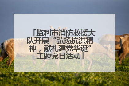 监利市消防救援大队开展“弘扬抗洪精神，献礼建党华诞”主题党日活动