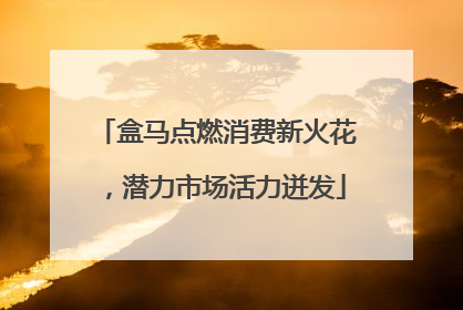 盒马点燃消费新火花，潜力市场活力迸发