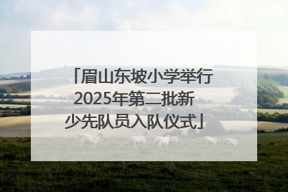眉山东坡小学举行2025年第二批新少先队员入队仪式