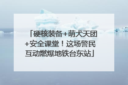 硬核装备+萌犬天团+安全课堂！这场警民互动燃爆地铁台东站