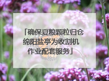 确保夏粮颗粒归仓 绵阳盐亭为收割机作业配套服务
