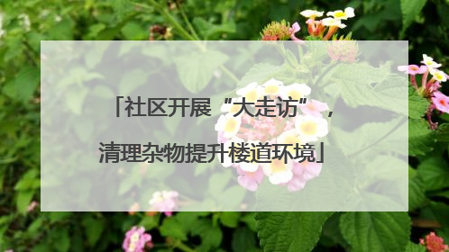 社区开展“大走访”，清理杂物提升楼道环境