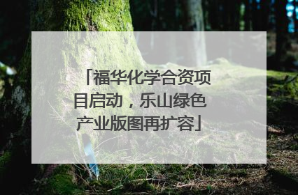 福华化学合资项目启动，乐山绿色产业版图再扩容