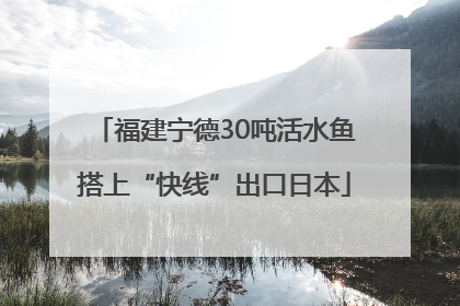 福建宁德30吨活水鱼搭上“快线”出口日本