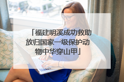 福建明溪成功救助放归国家一级保护动物中华穿山甲
