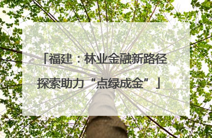 福建：林业金融新路径探索助力“点绿成金”
